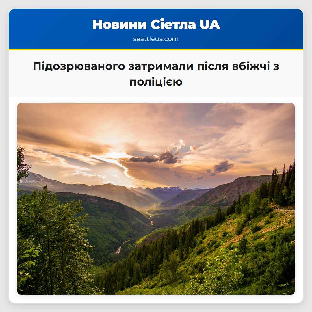 Підозрюваного затримали після вбіжчі з поліцією