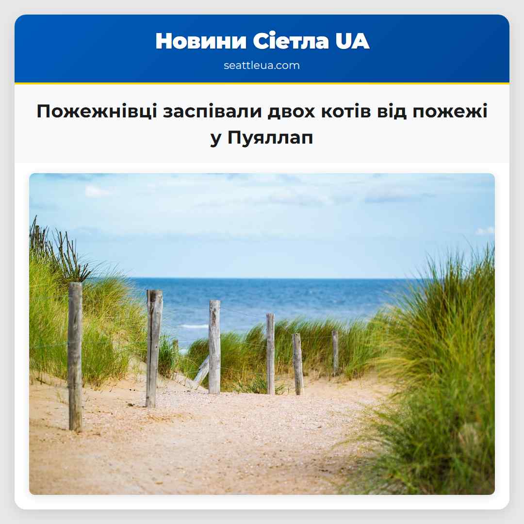 Пожежнівці заспівали двох котів від пожежі у