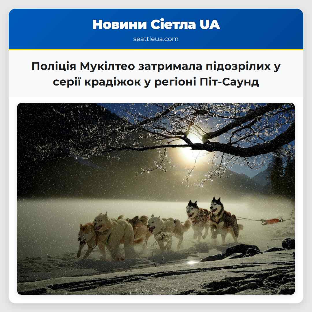 Поліція Мукілтео затримала підозрілих у серії
