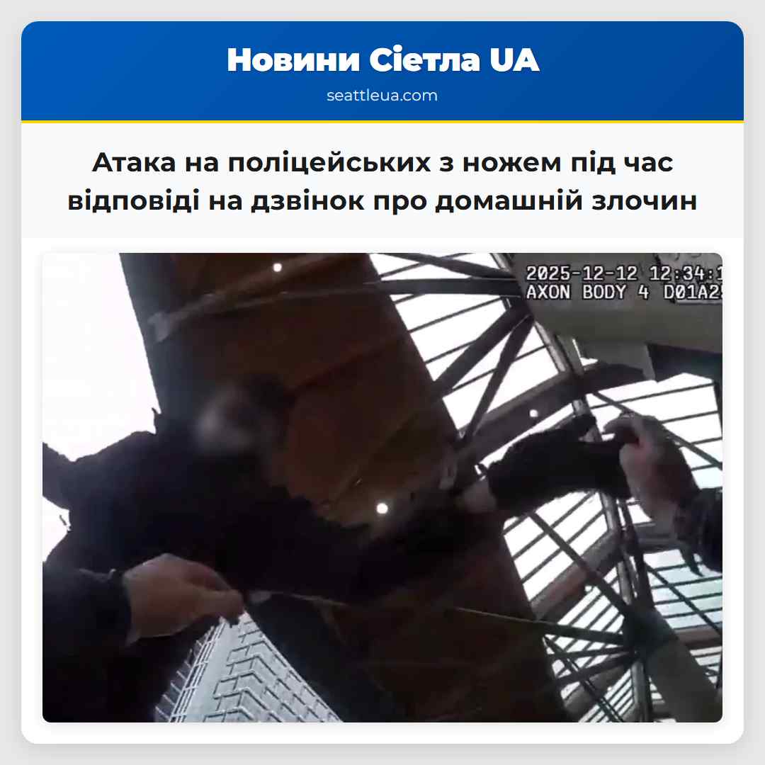 Атака на поліцейських з ножем під час відповіді