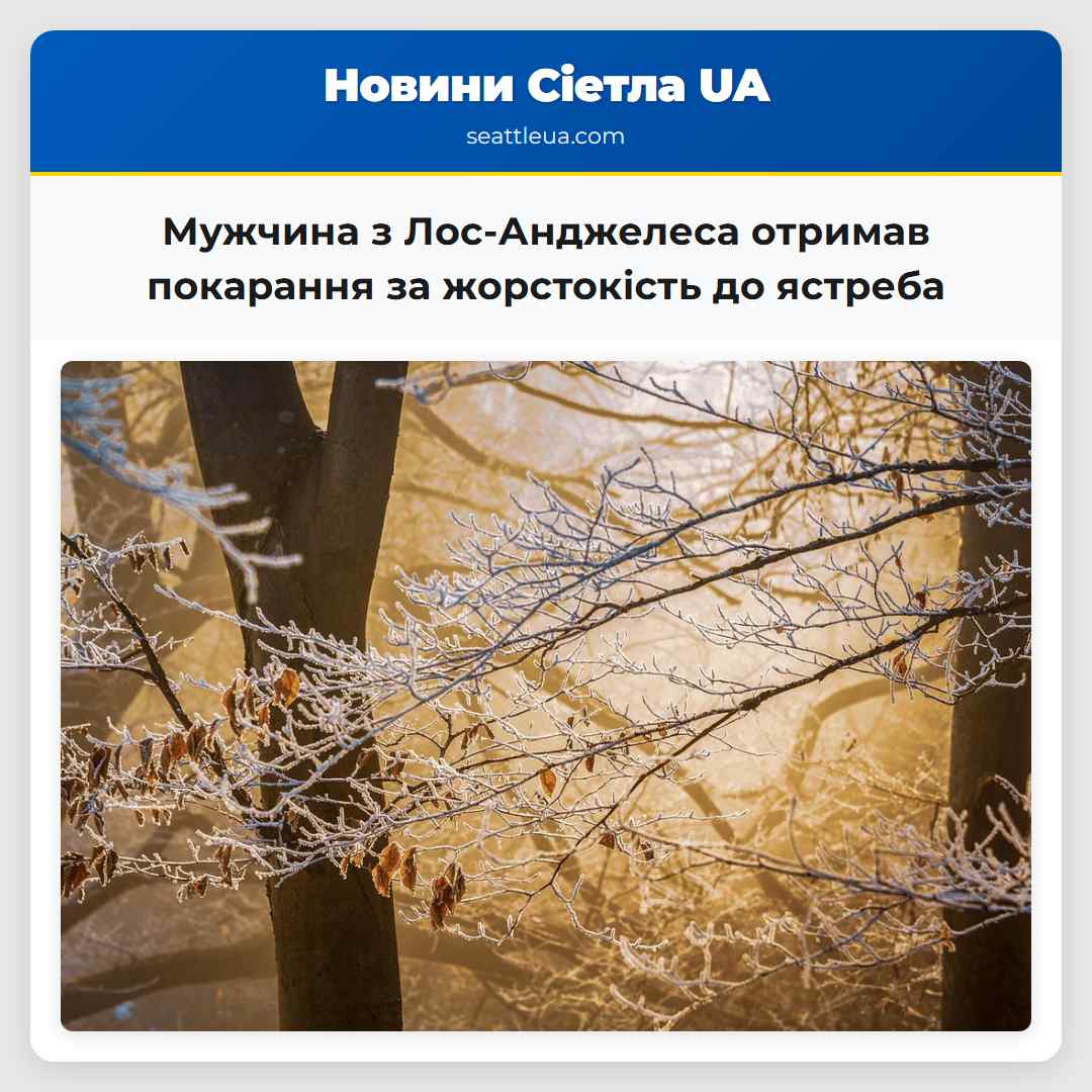 Мужчина з Лос-Анджелеса отримав покарання за