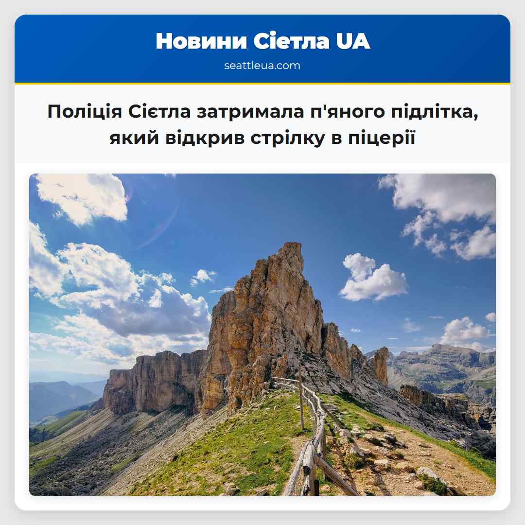 Поліція Сієтла затримала п'яного підлітка, який