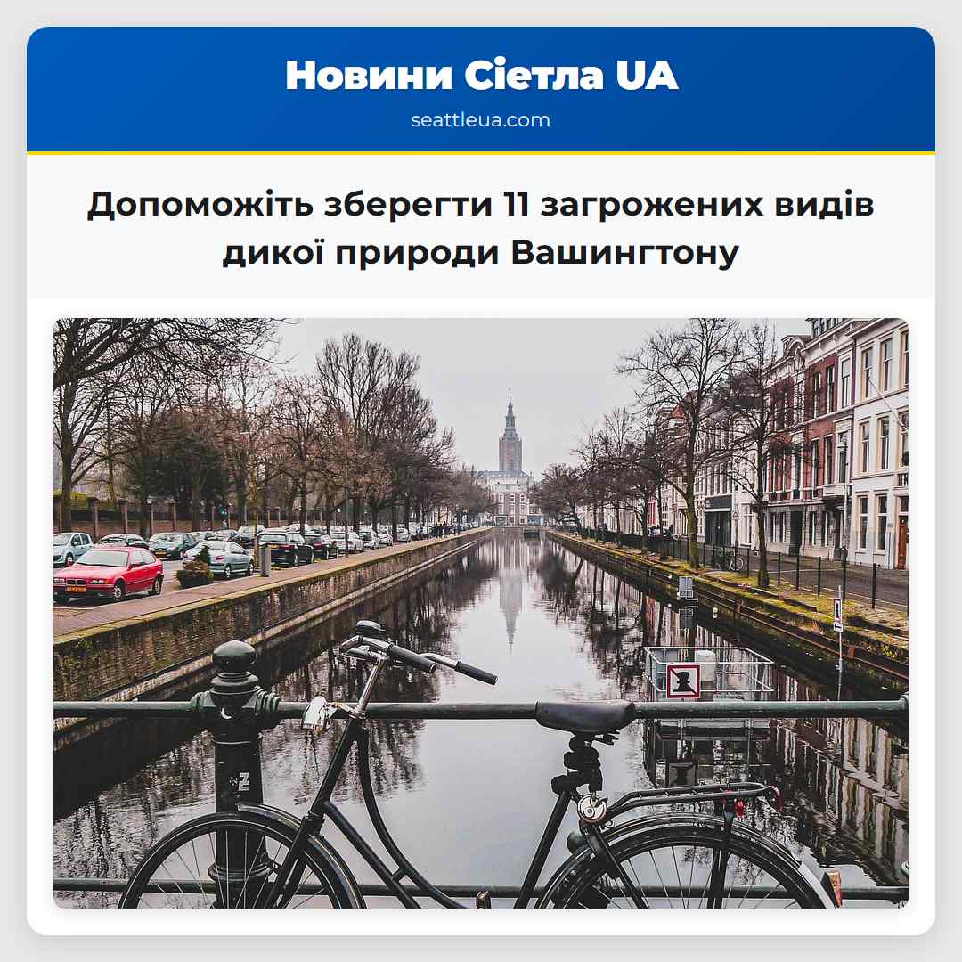 Допоможіть зберегти 11 загрожених видів дикої