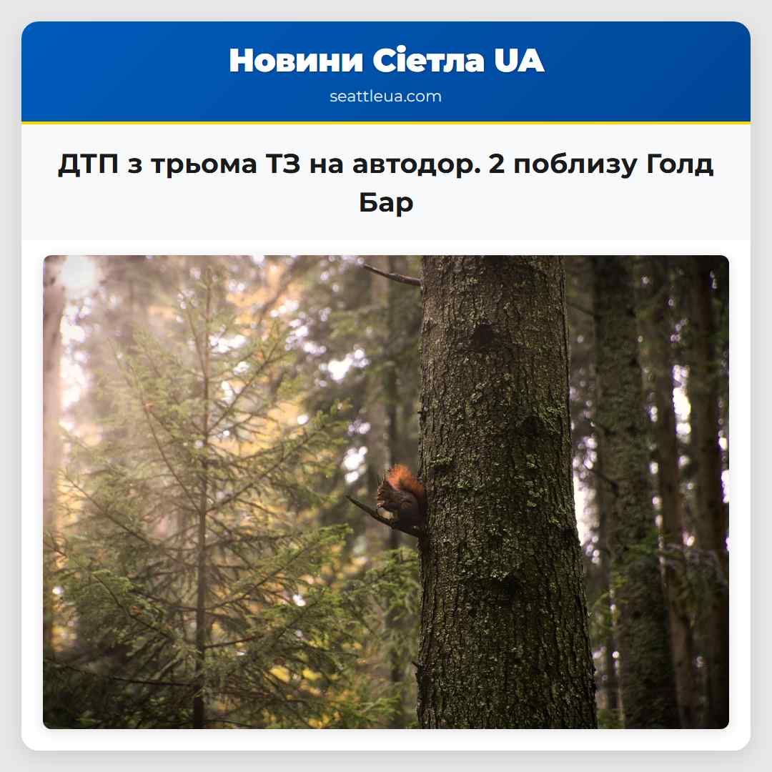 ДТП з трьома ТЗ на автодор. 2 поблизу Голд Бар