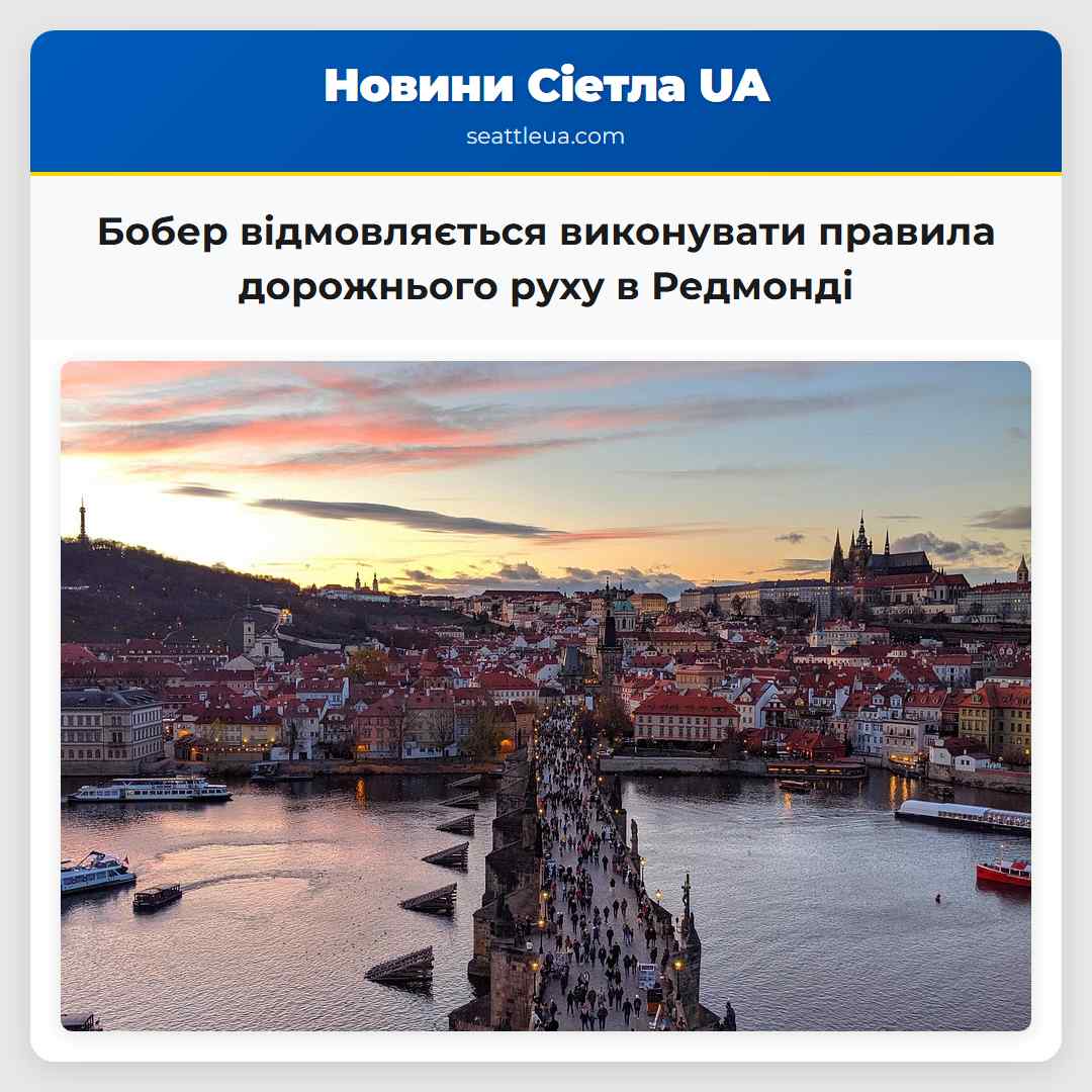 Бобер відмовляється виконувати правила дорожнього