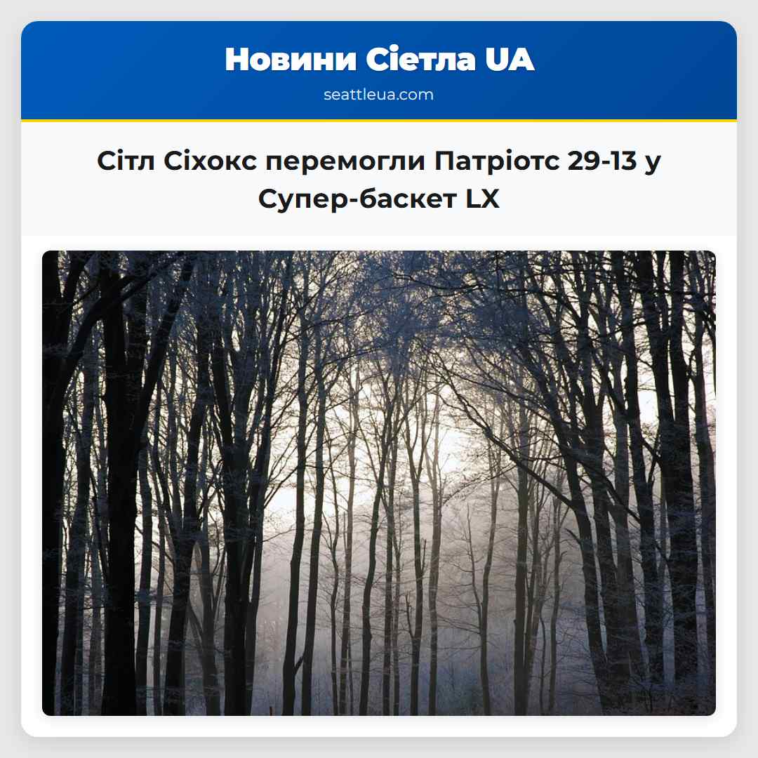 Сітл Сіхокс перемогли Патріотс 29-13 у
