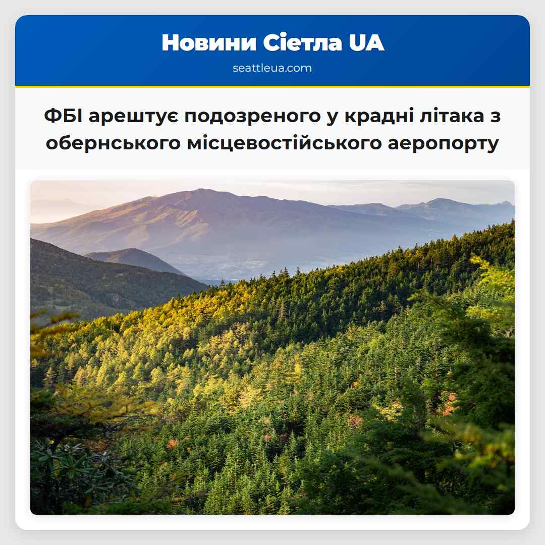 ФБІ арештує подозреного у крадні літака з