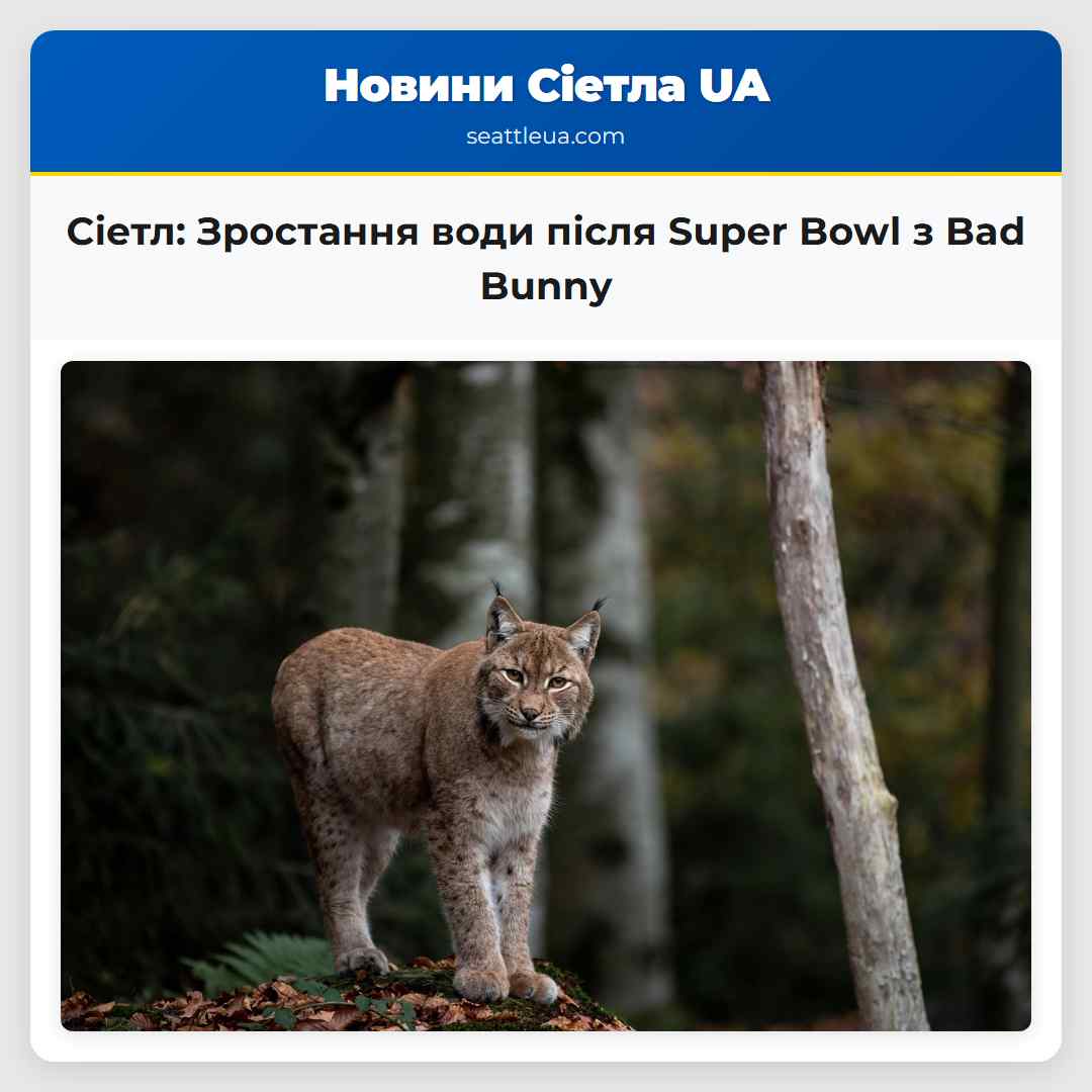 Сіетл: Зростання води після Super Bowl з Bad Bunny