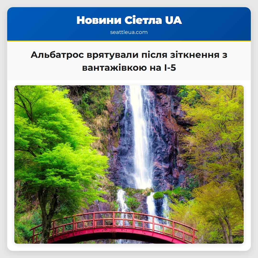 Альбатрос врятували після зіткнення з вантажівкою