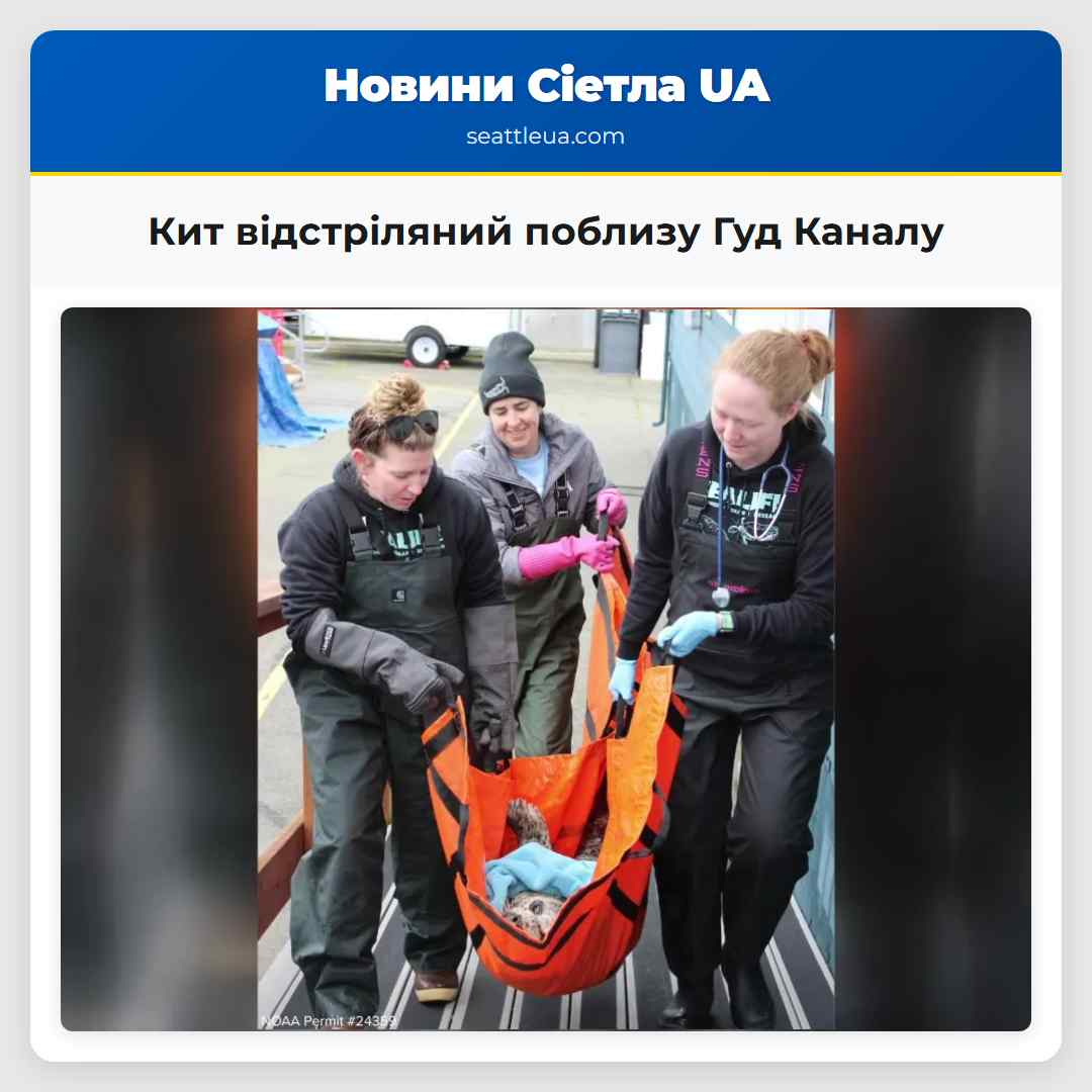 Кит відстріляний поблизу Гуд Каналу