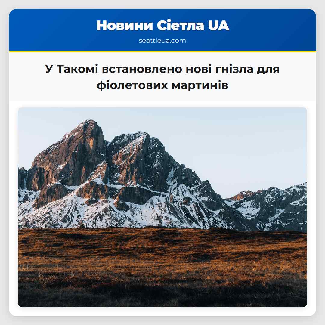 У Такомі встановлено нові гнізла для фіолетових