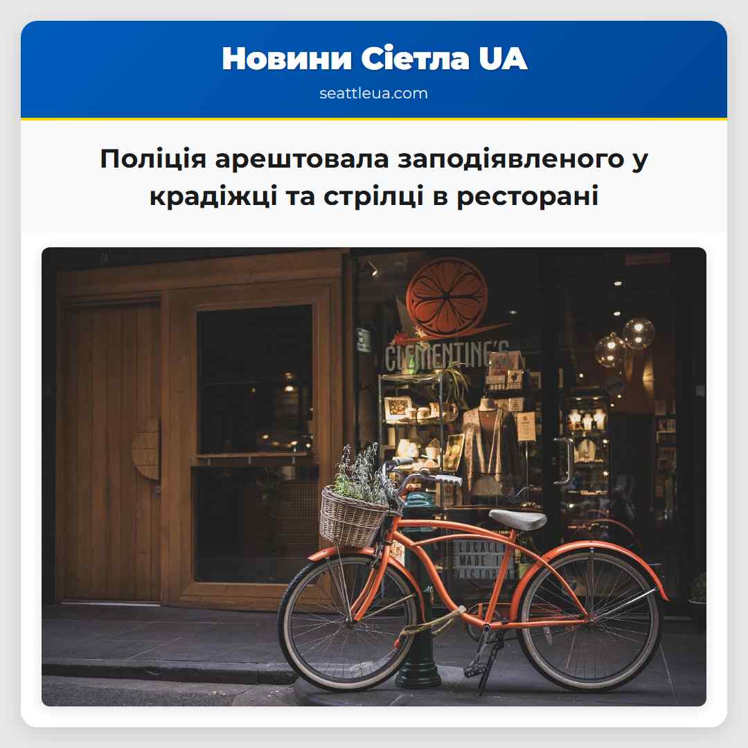 Поліція арештовала заподіявленого у крадіжці та