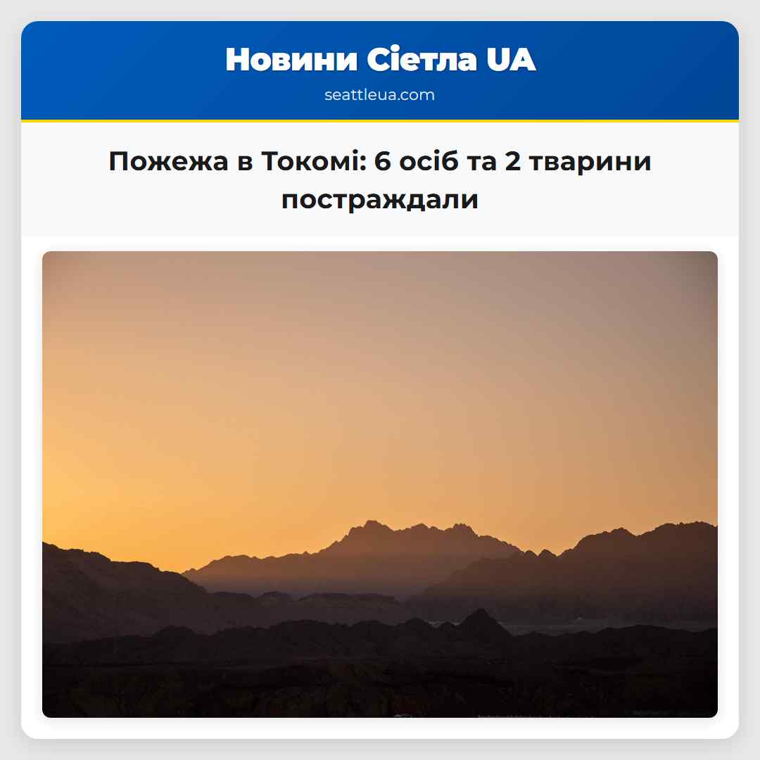 Пожежа в Токомі: 6 осіб та 2 тварини постраждали