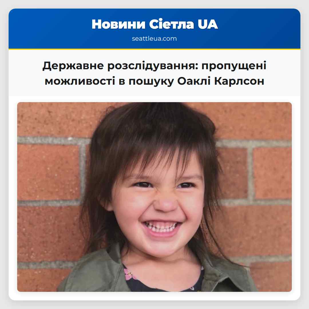 Державне розслідування: пропущені можливості в