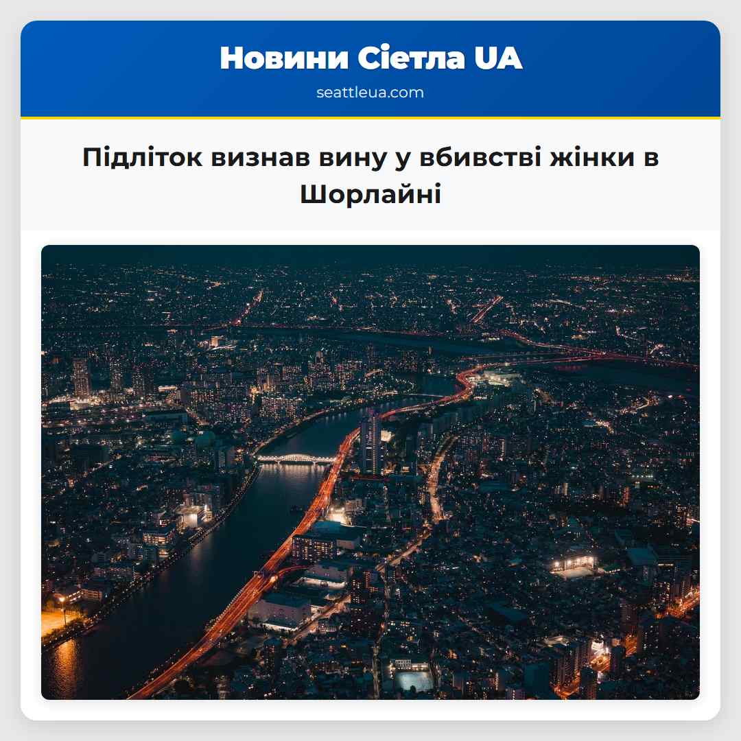 Підліток визнав вину у вбивстві жінки в Шорлайні