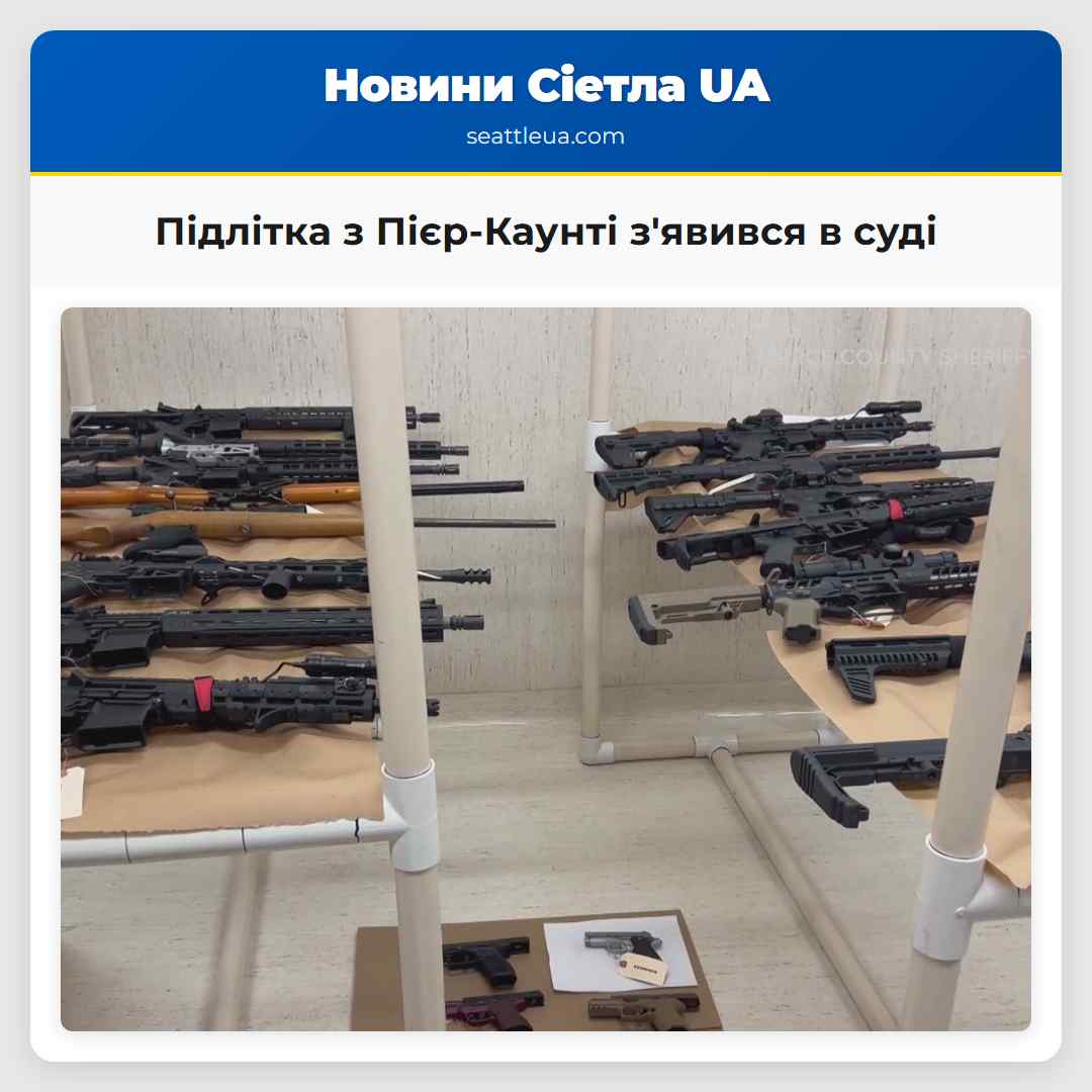 Підлітка з Пієр-Каунті з'явився в суді