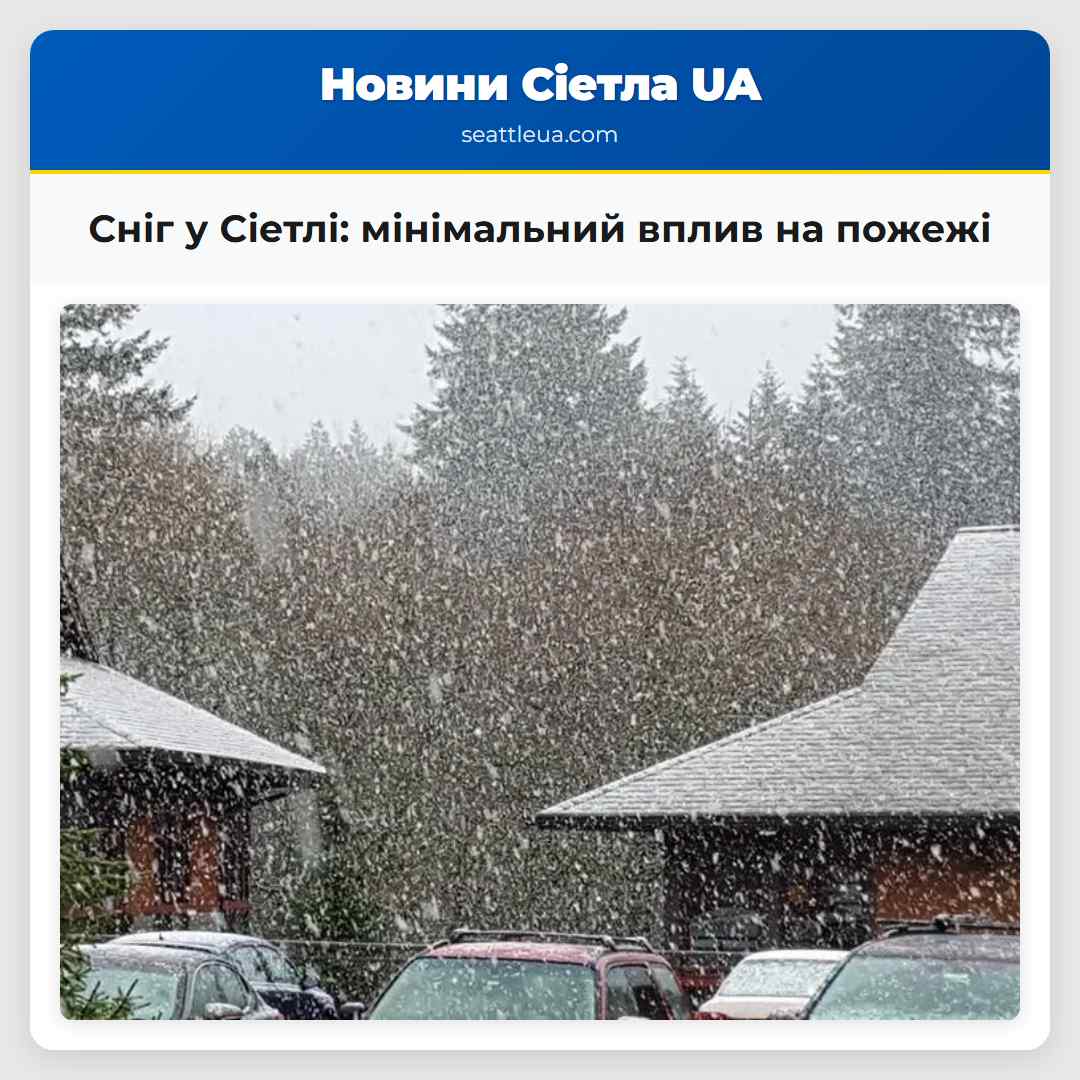 Сніг у Сіетлі: мінімальний вплив на пожежі