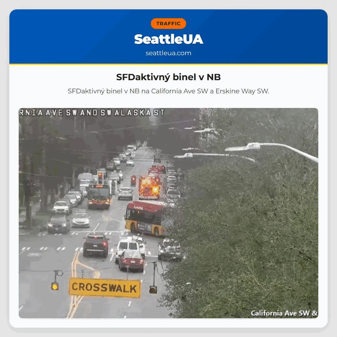 SFDaktivný binel v NB