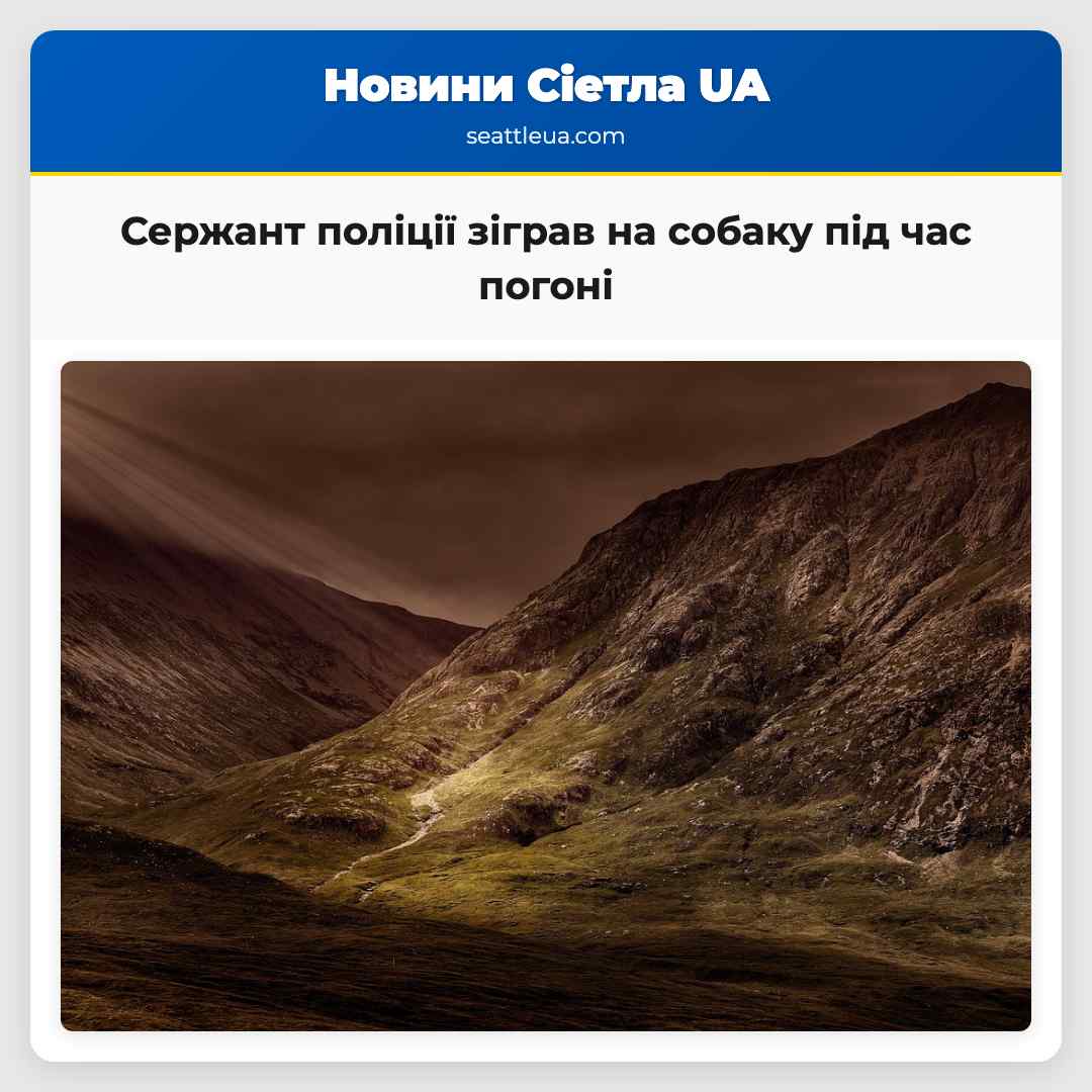Сержант поліції зіграв на собаку під час погоні