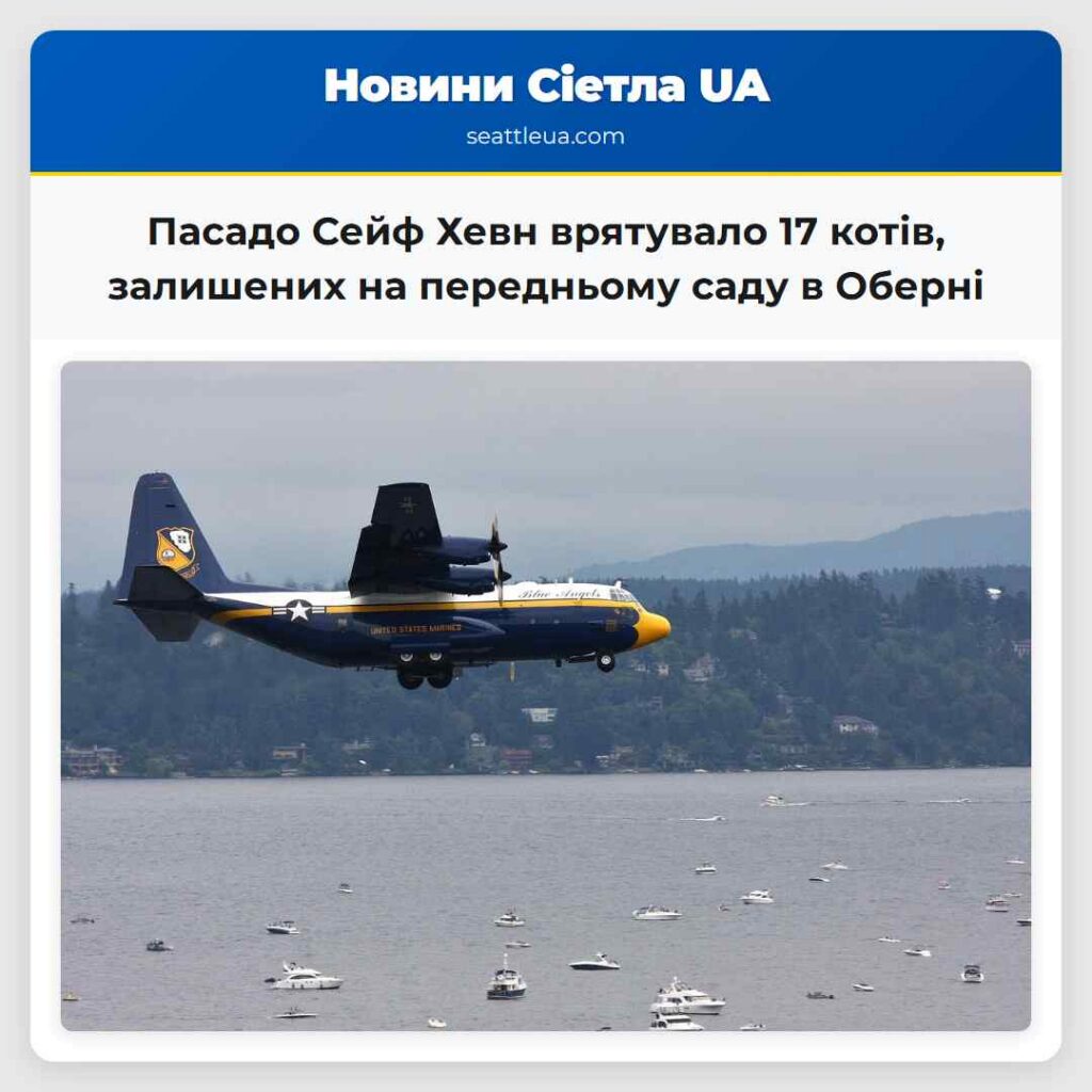 Пасадо Сейф Хевн врятувало 17 котів, залишених на
