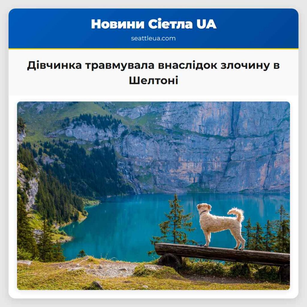 Дівчинка травмувала внаслідок злочину в Шелтоні