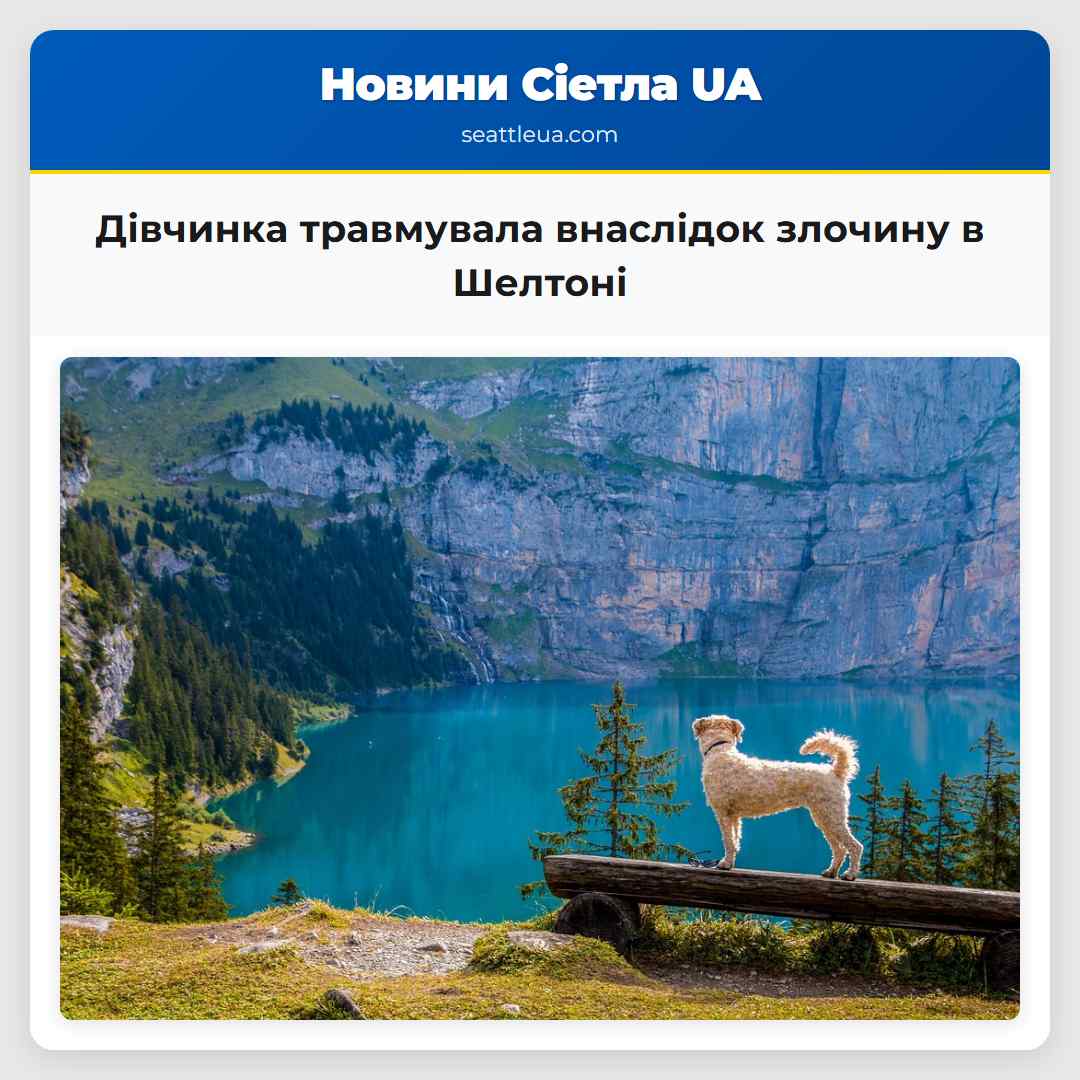 Дівчинка отримала травму внаслідок злочину в Шелтоні поліція шукає водія