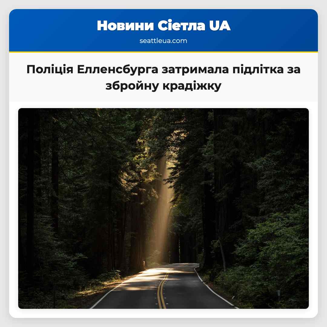 Поліція Елленсбурга затримала підлітка за збройну