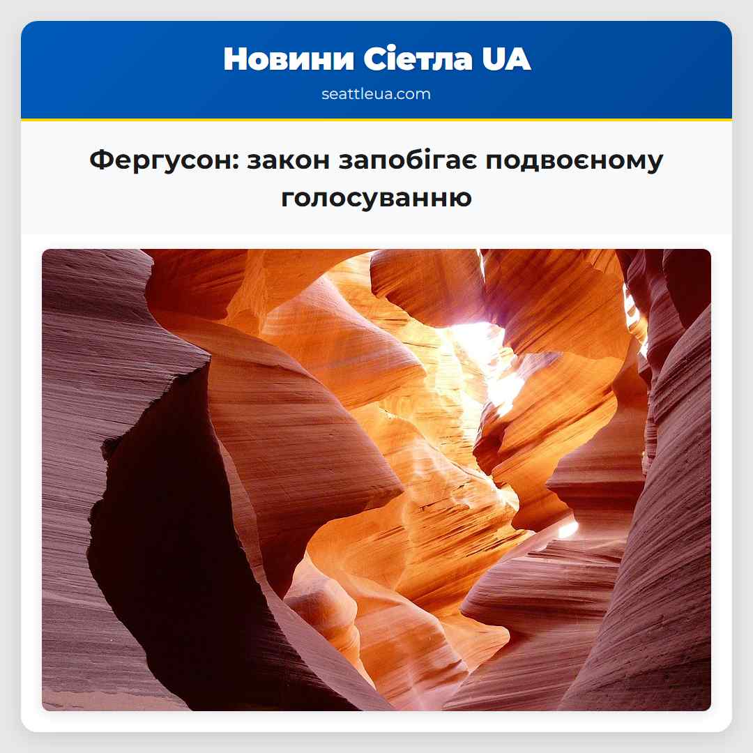 Фергусон: закон запобігає подвоєному голосуванню