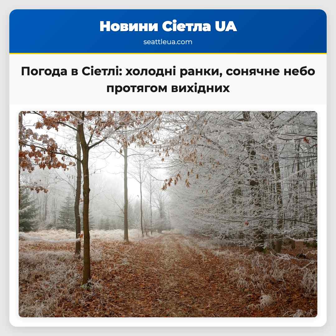 Погода в Сіетлі: холодні ранки, сонячне небо