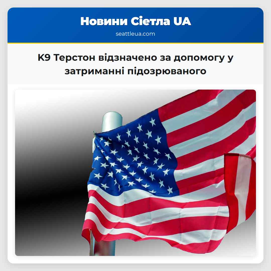 K9 Терстон відзначено за допомогу у затриманні