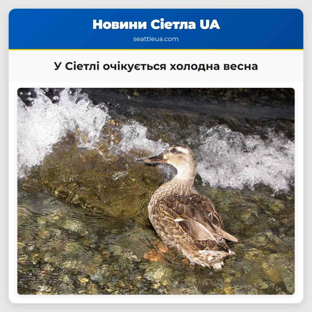 У Сіетлі очікується холодна весна