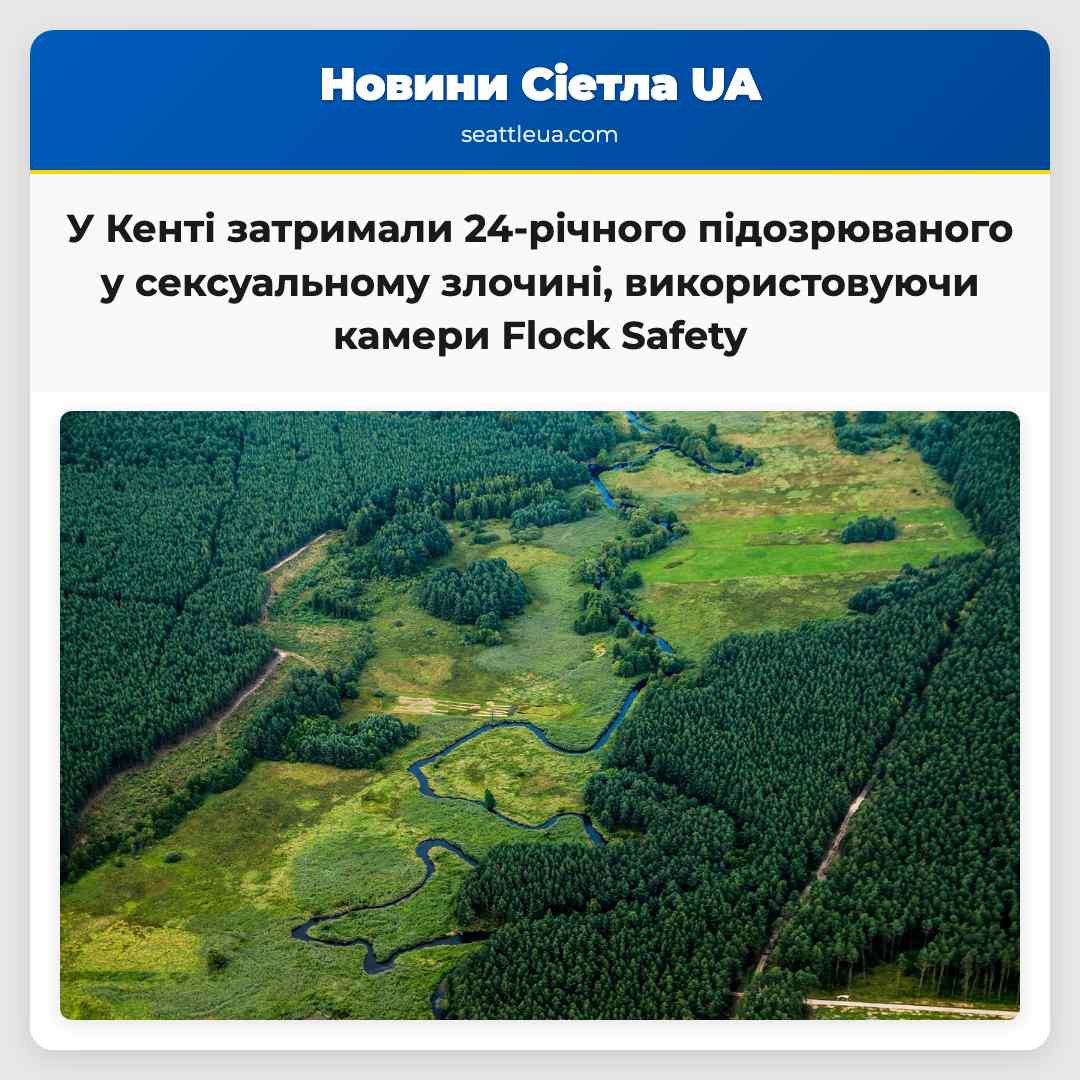 У Кенті затримали 24-річного підозрюваного у