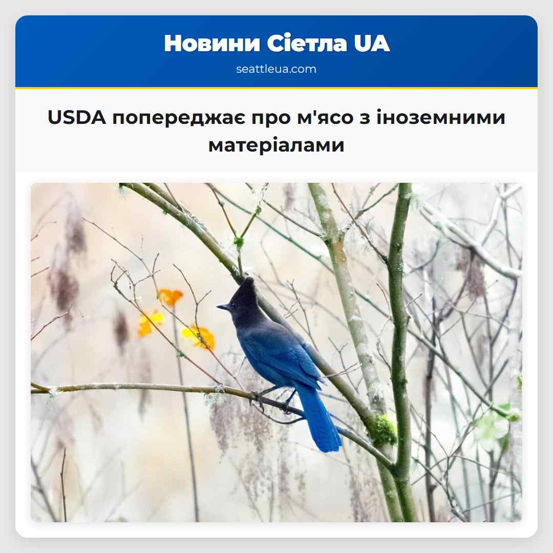 Попередження про здоровя USDA звернула увагу на мясо яке може містити іноземні матеріали