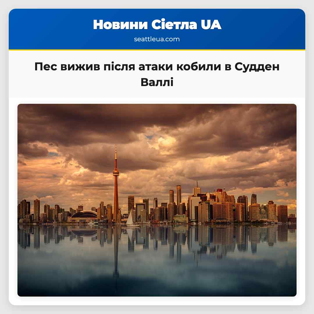 Пес вижив після атаки кобили в Судден Валлі