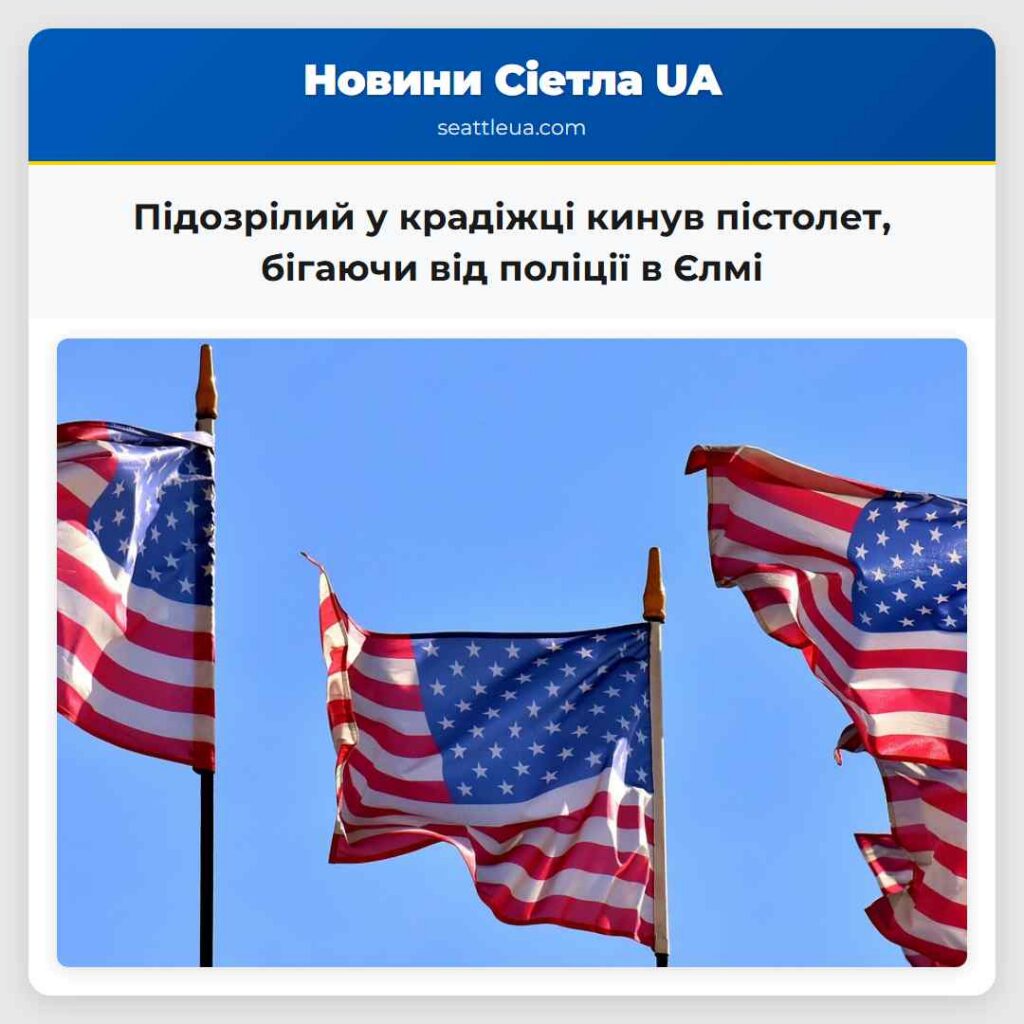 Підозрілий у крадіжці кинув пістолет, бігаючи від