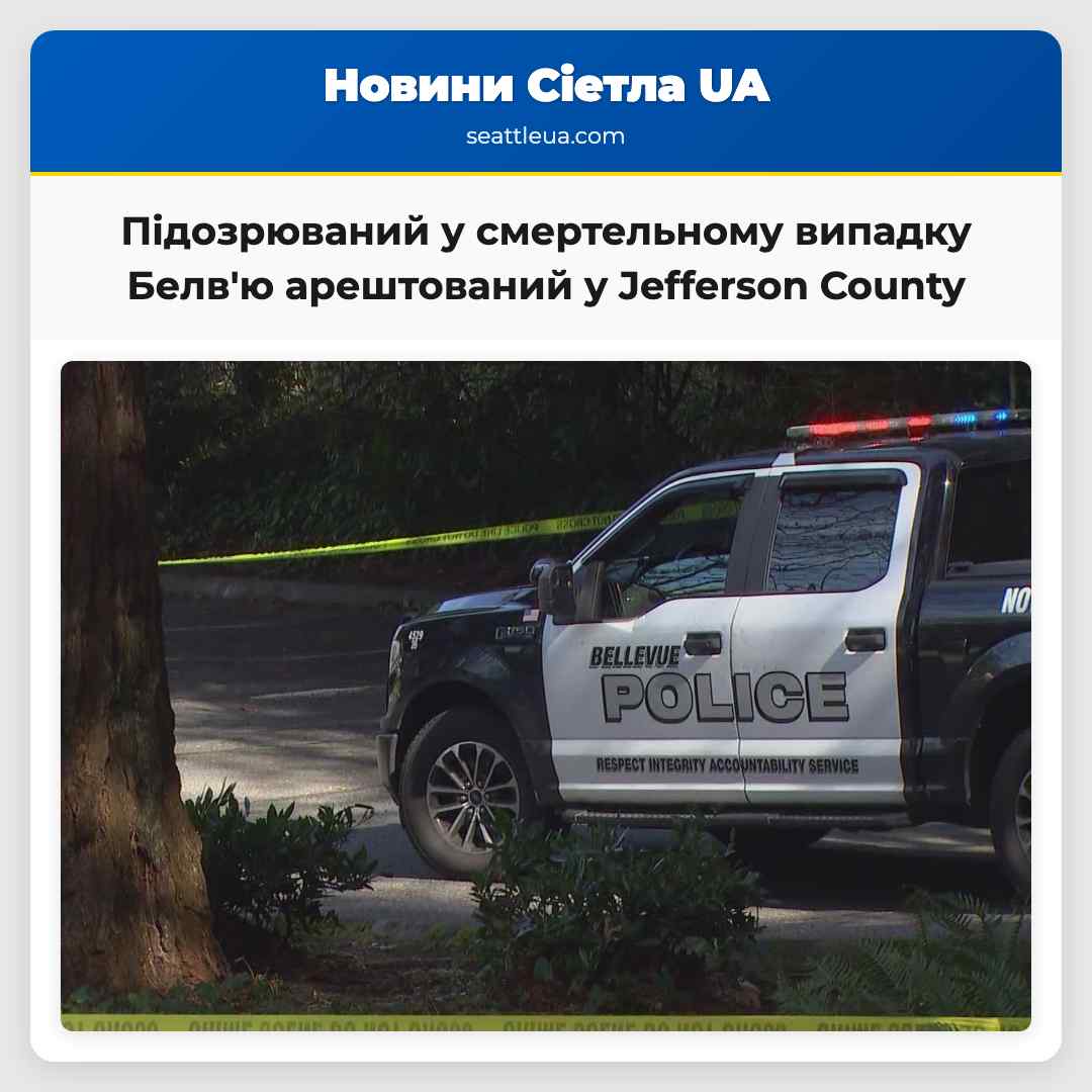 Підозрюваний у смертельному випадку Белв'ю