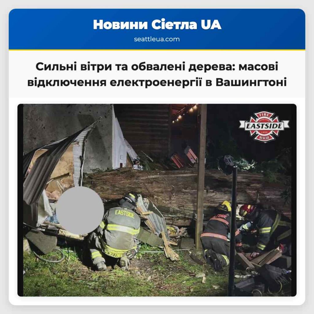 Сильні вітри та обвалені дерева: масові