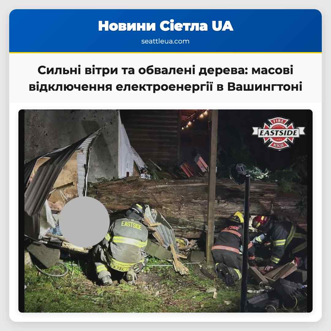Сильні вітри та обвалені дерева масові відключення електроенергії та зруйновані дороги в західній частині Вашингтону