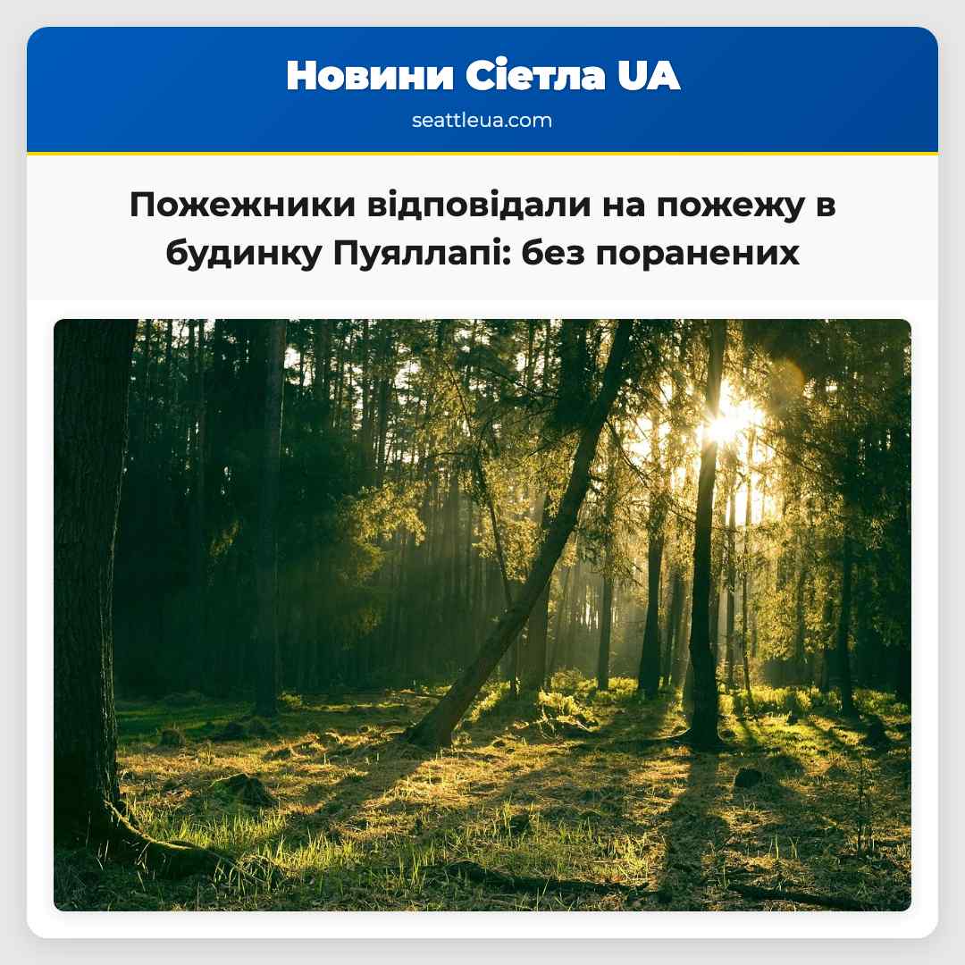 Пожежники відповідали на пожежу в будинку