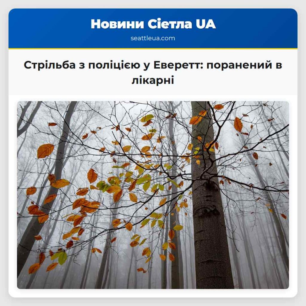 Стрільба з поліцією у Еверетт: поранений в лікарні