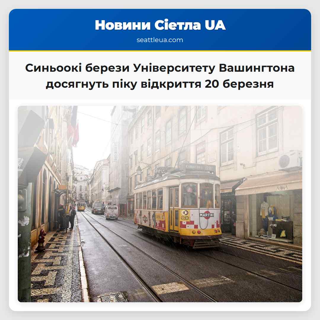 Підготуйте фотоапарат синьоокі берези Університету Вашингтона досягнуть піку відкриття 20 березня