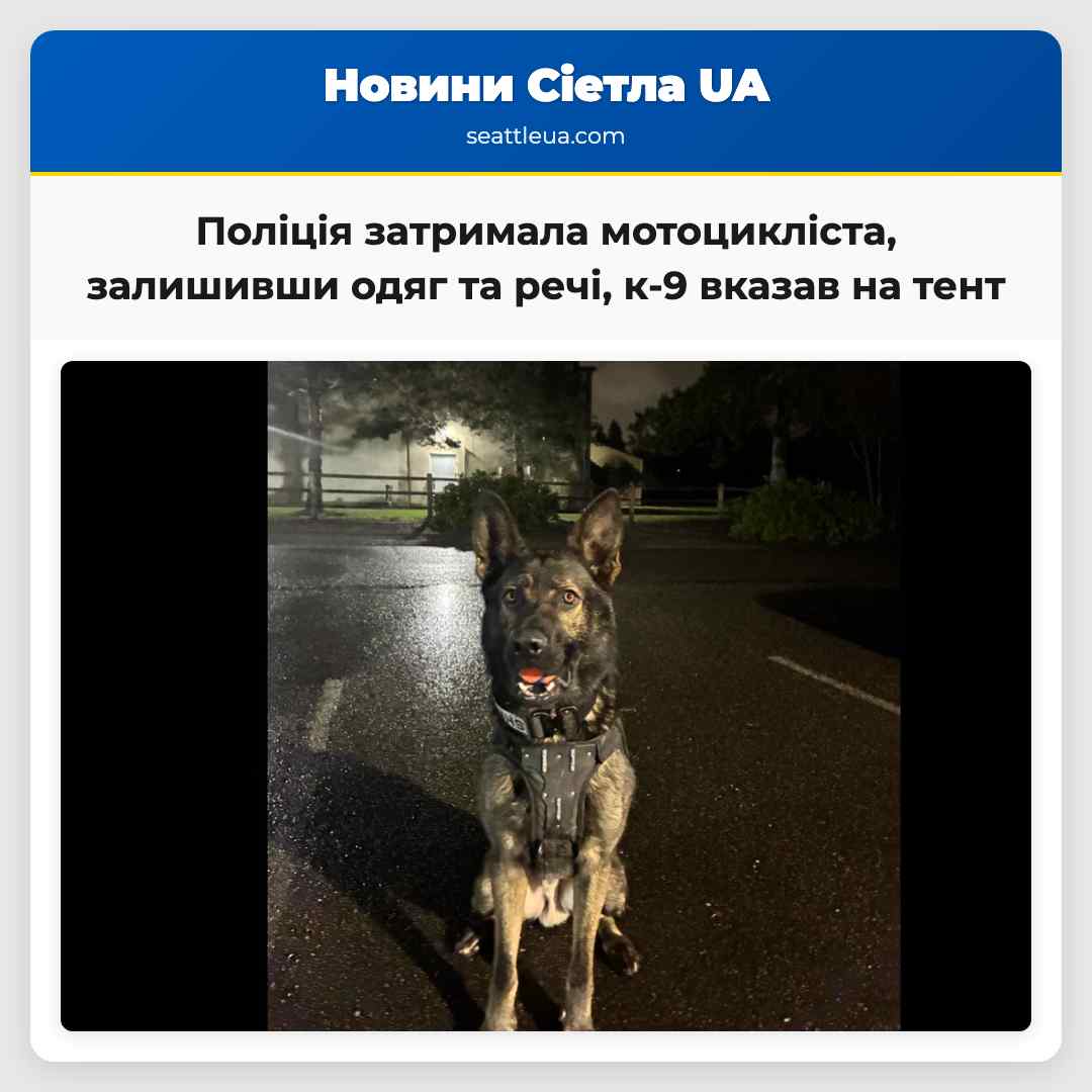 Поліція затримала мотоцикліста, залишивши одяг та