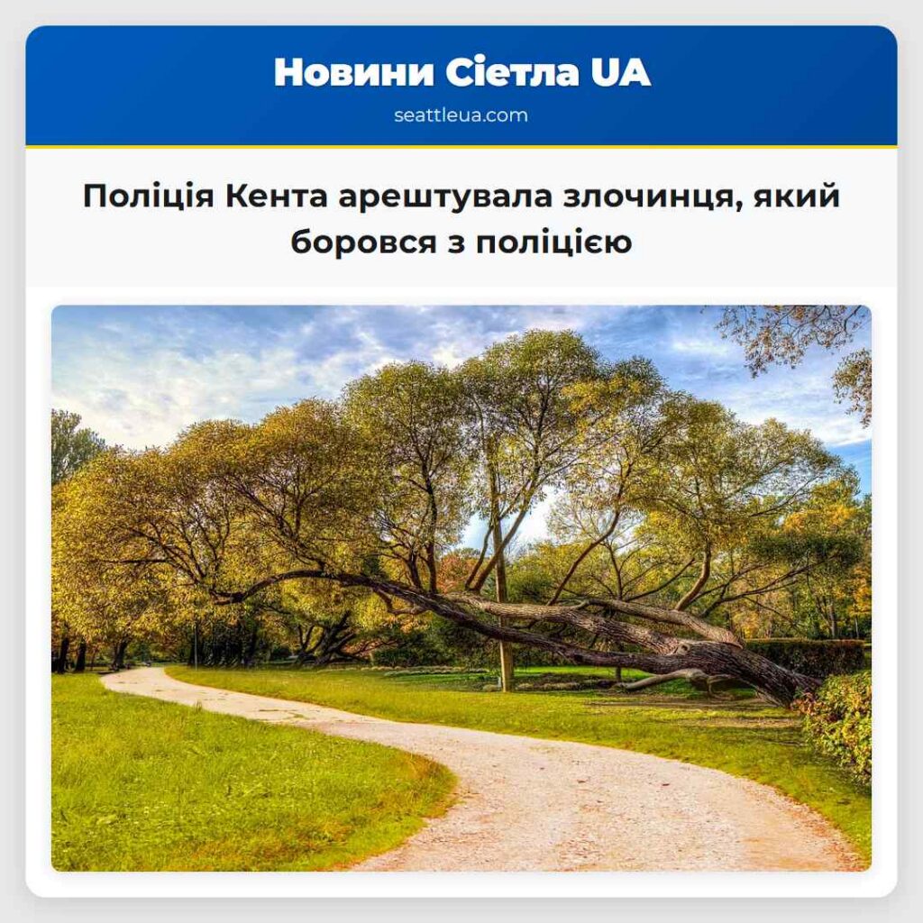 Поліція Кента арештувала злочинця, який боровся з