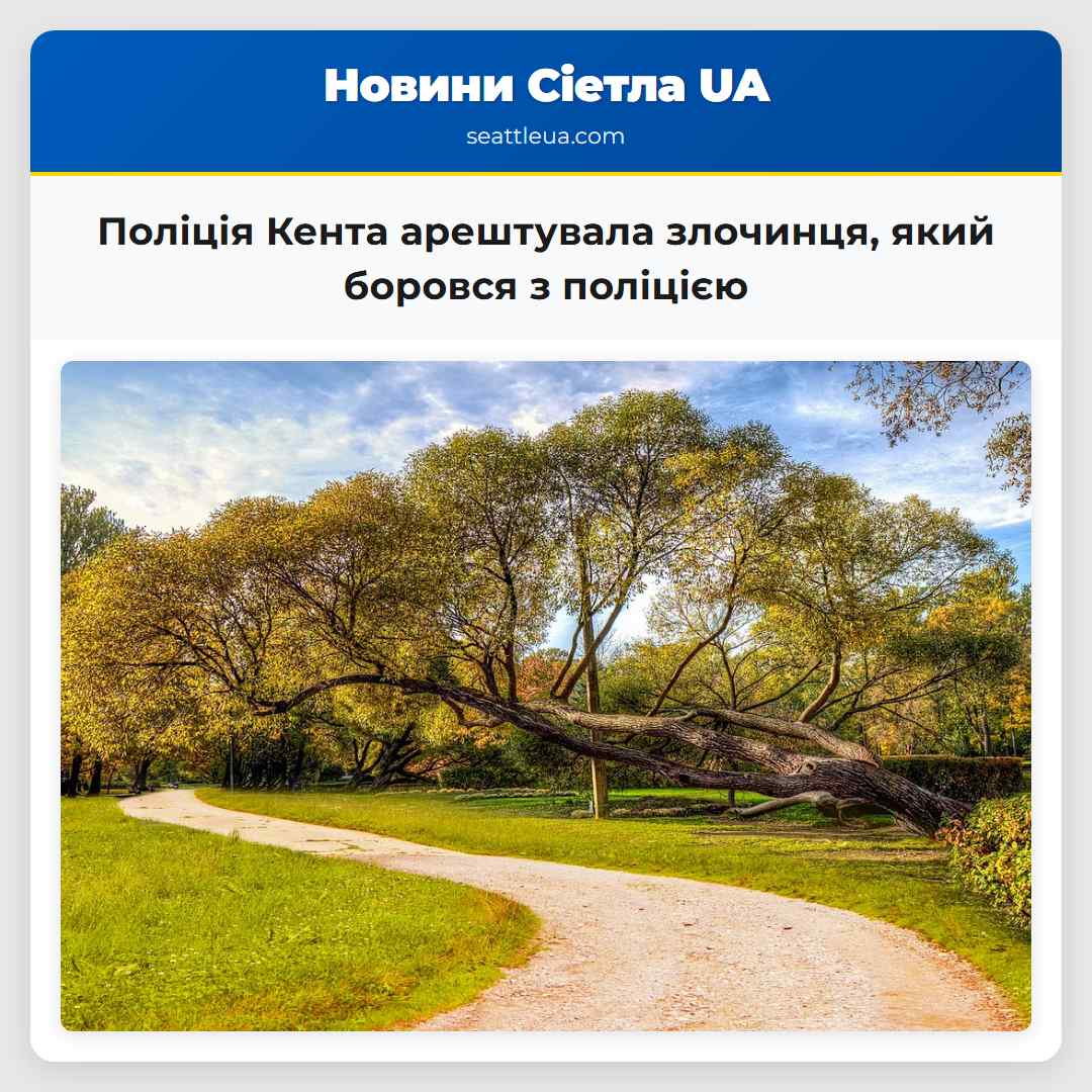 Поліція Кента арештувала злочинця, який боровся з