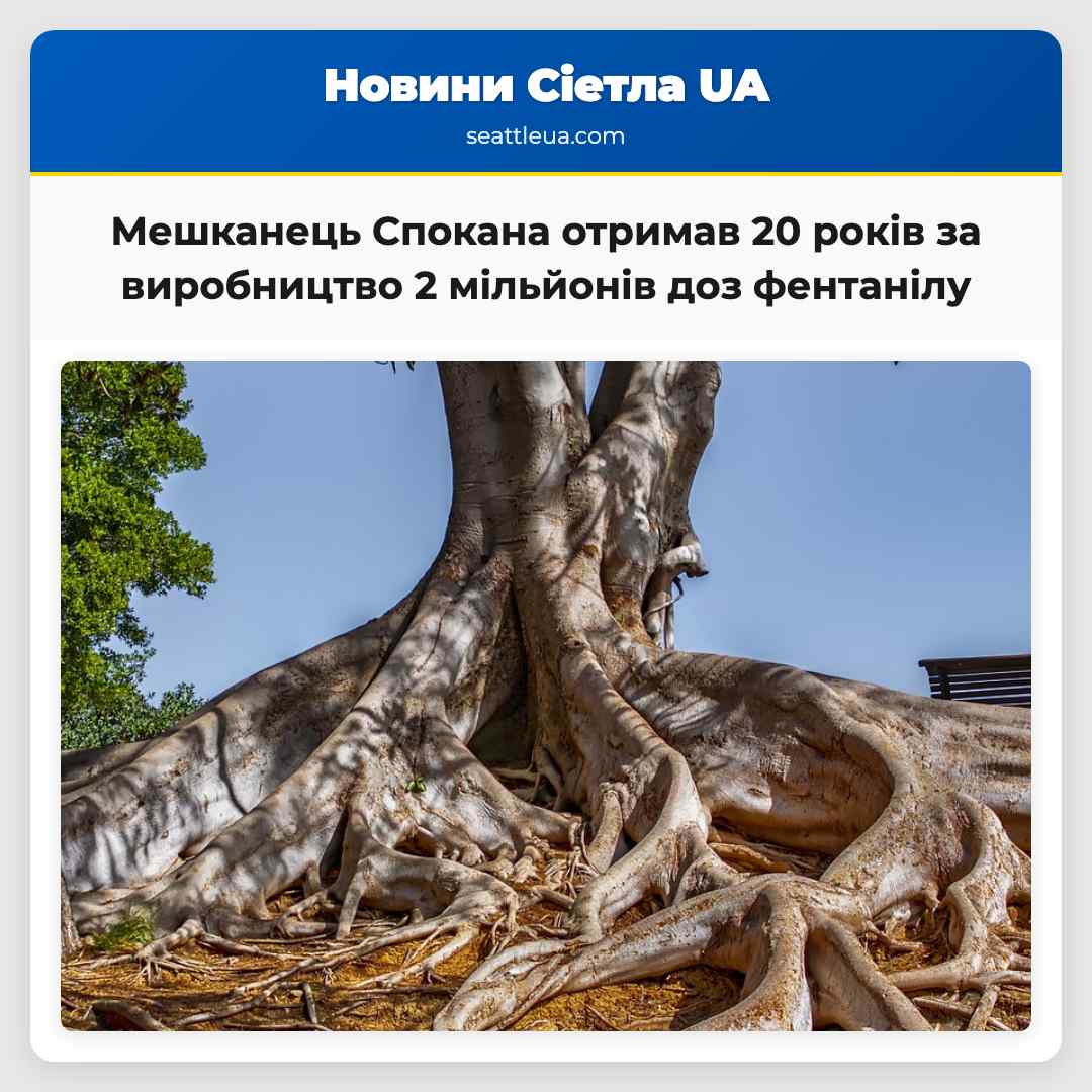 Мешканець Спокана отримав 20 років за виробництво