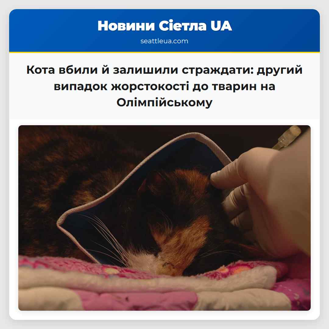Кота вбили й залишили страждати це другий випадок жорстокості до тварин на Олімпійському півострові за місяць