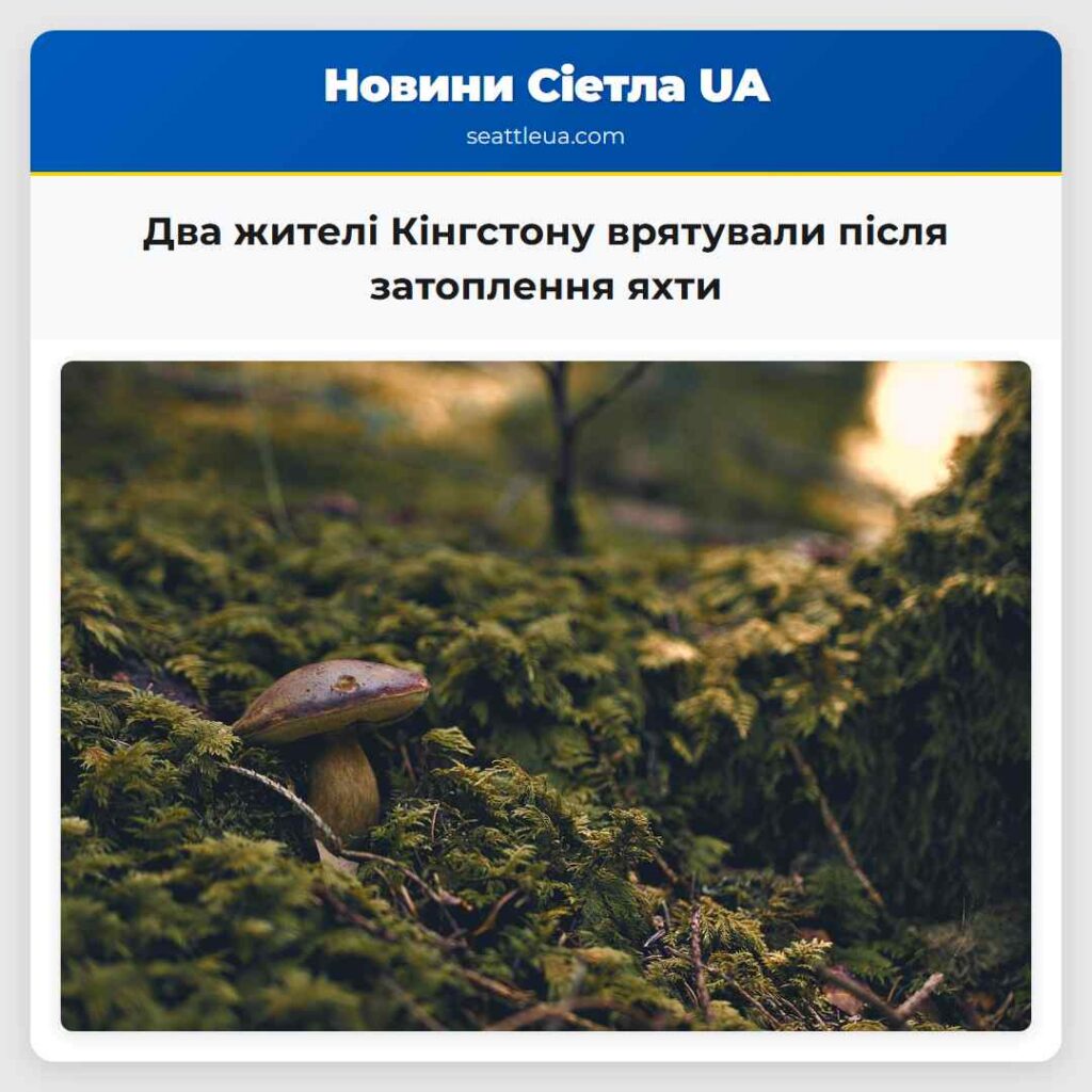 Два жителі Кінгстону врятували після затоплення