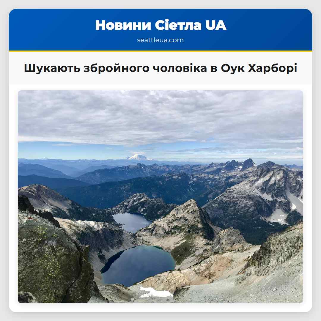 Шукають збройного чоловіка в Оук Харборі