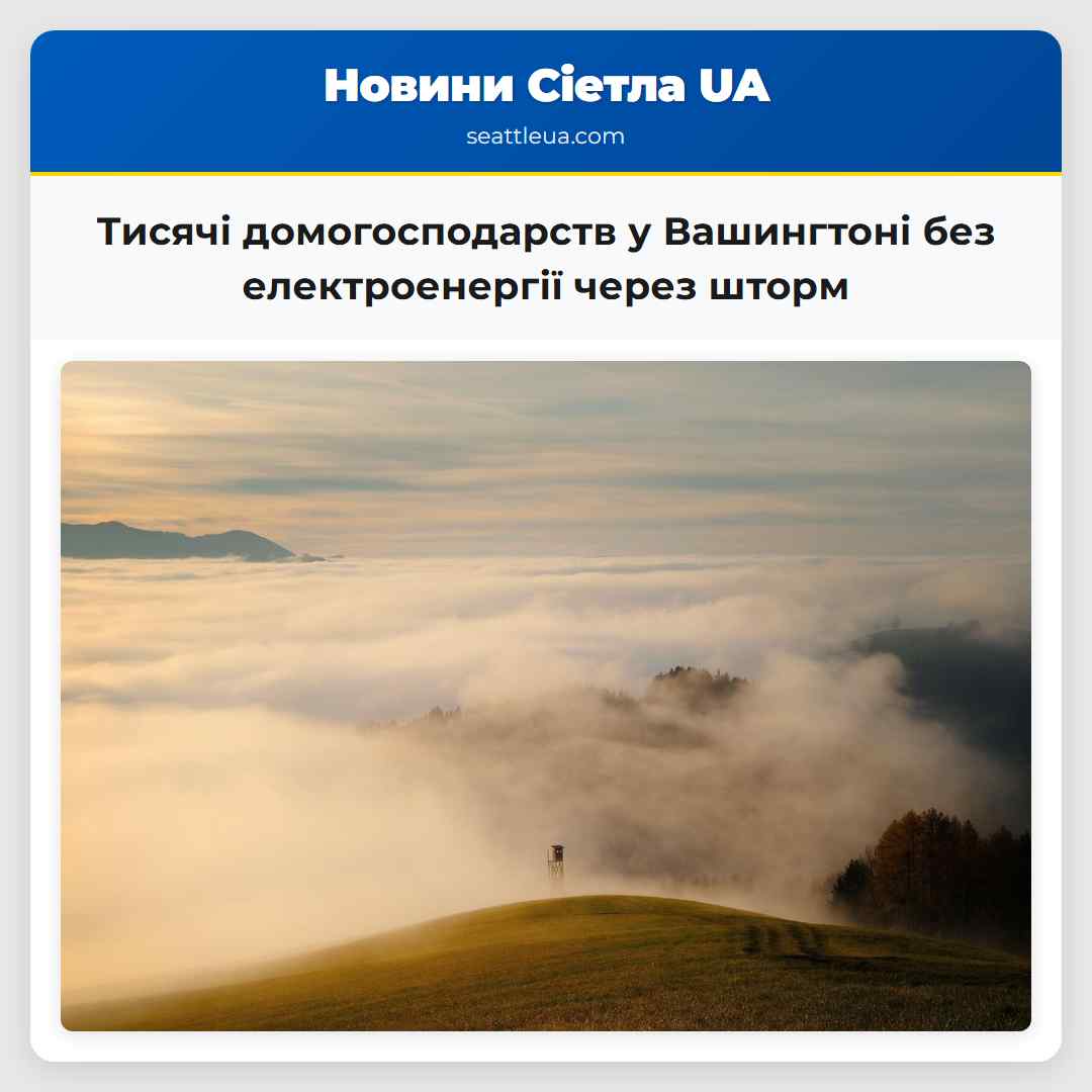 Тисячі домогосподарств у Вашингтоні залишаються без електроенергії внаслідок шторму
