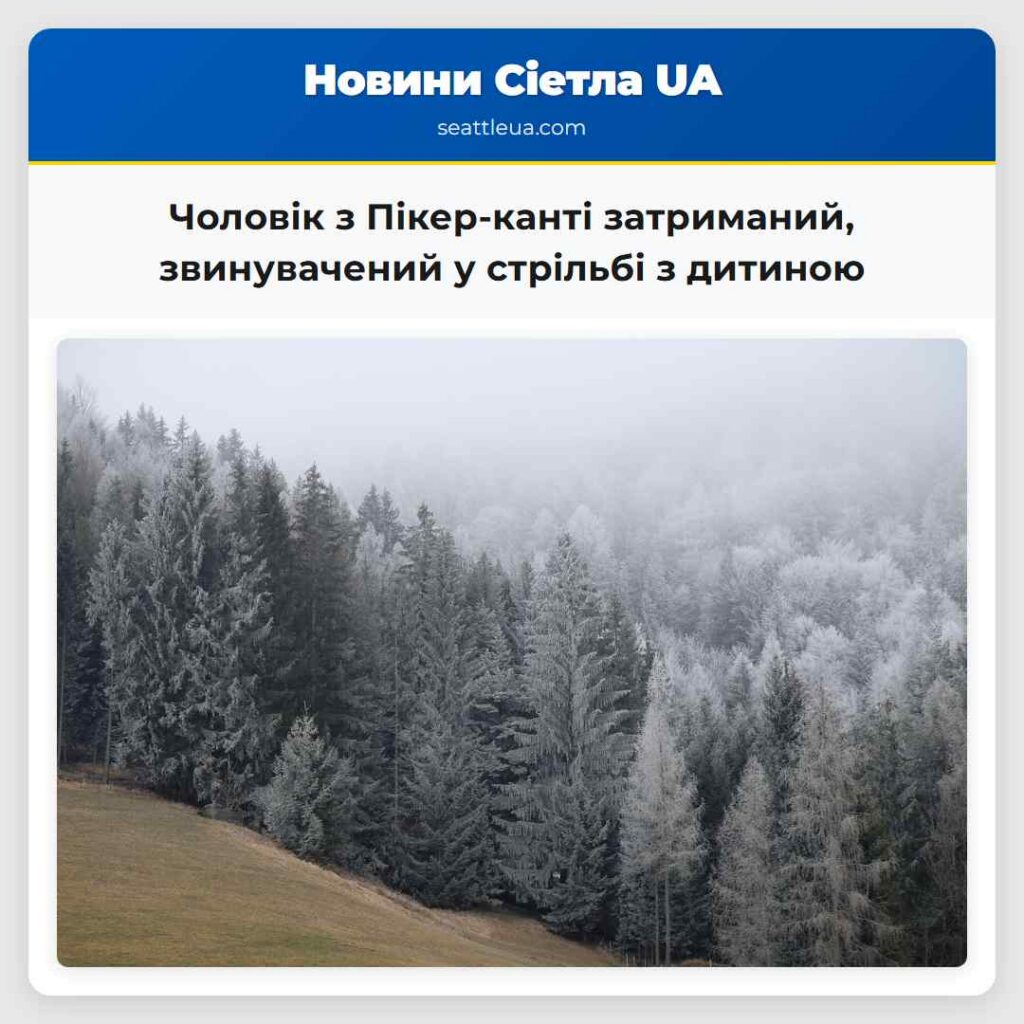 Чоловік з Пікер-канті затриманий, звинувачений у